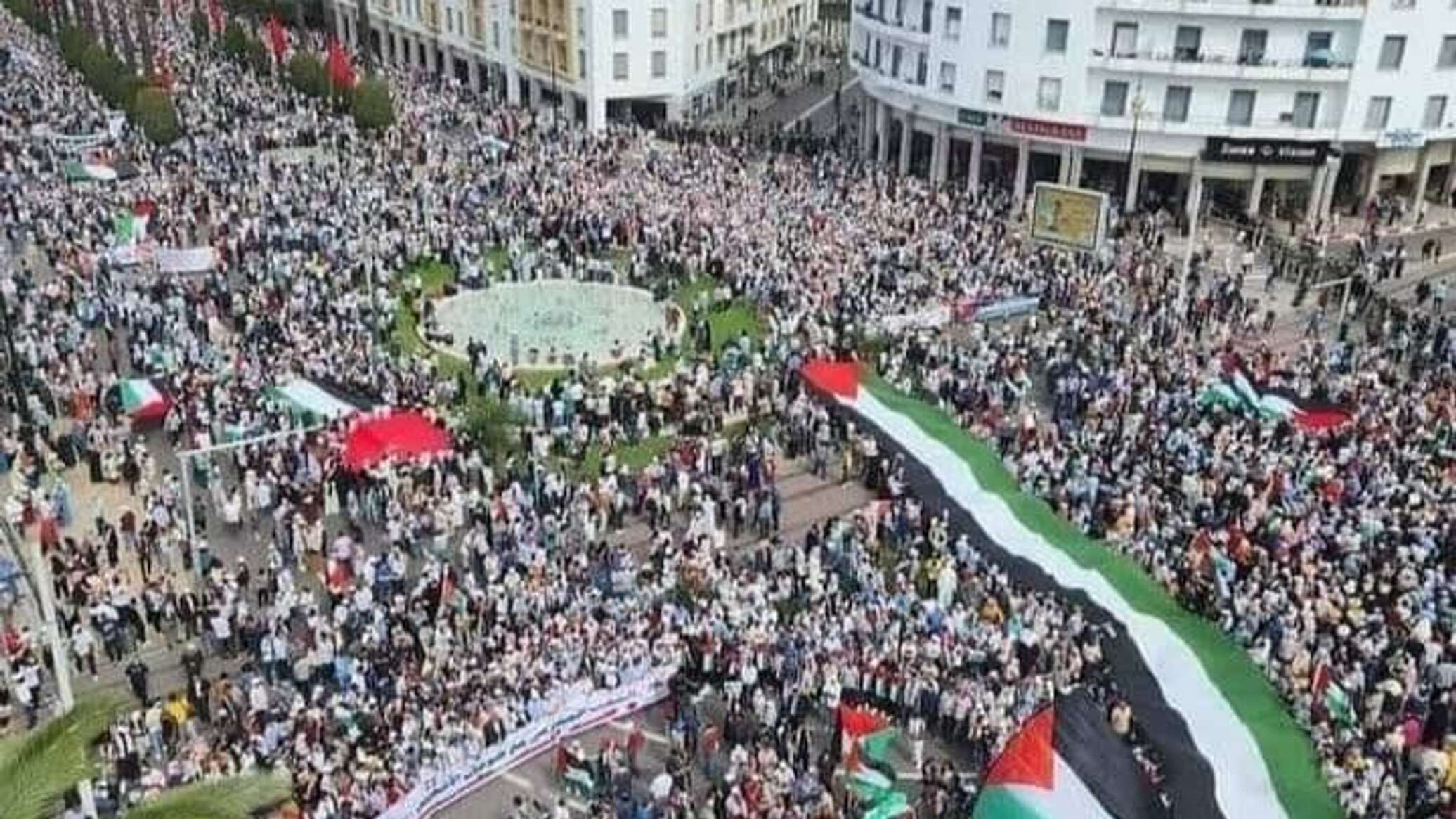 خبراء يؤكدون أهمية دور روسيا في حل "القضية الفلسطينية" وتعزيز التنمية بالمنطقة