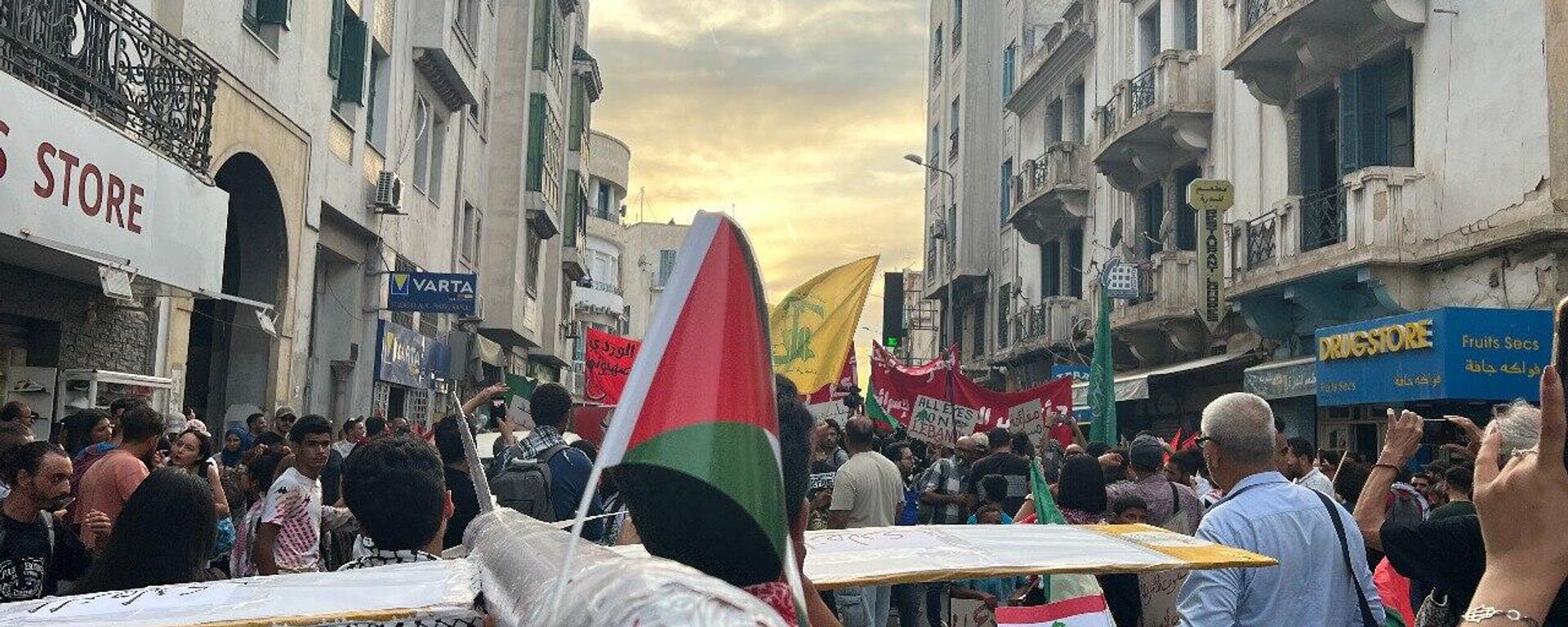 تنديدا بالعدوان الإسرائيلي على غزة ولبنان.. تونسيون يحتشدون في الشوارع في الذكرى الأولى لـطوفان الأقصى - سبوتنيك عربي, 1920, 08.10.2024