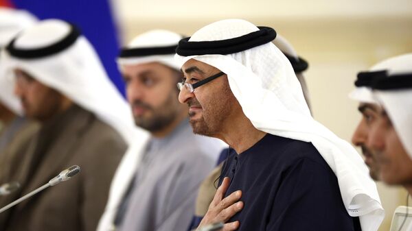 الرئيس الروسي فلاديمير بوتين ورئيس الإمارات محمد بن زايد آل نهيان في الاجتماع الثنائي، روسيا - سبوتنيك عربي
