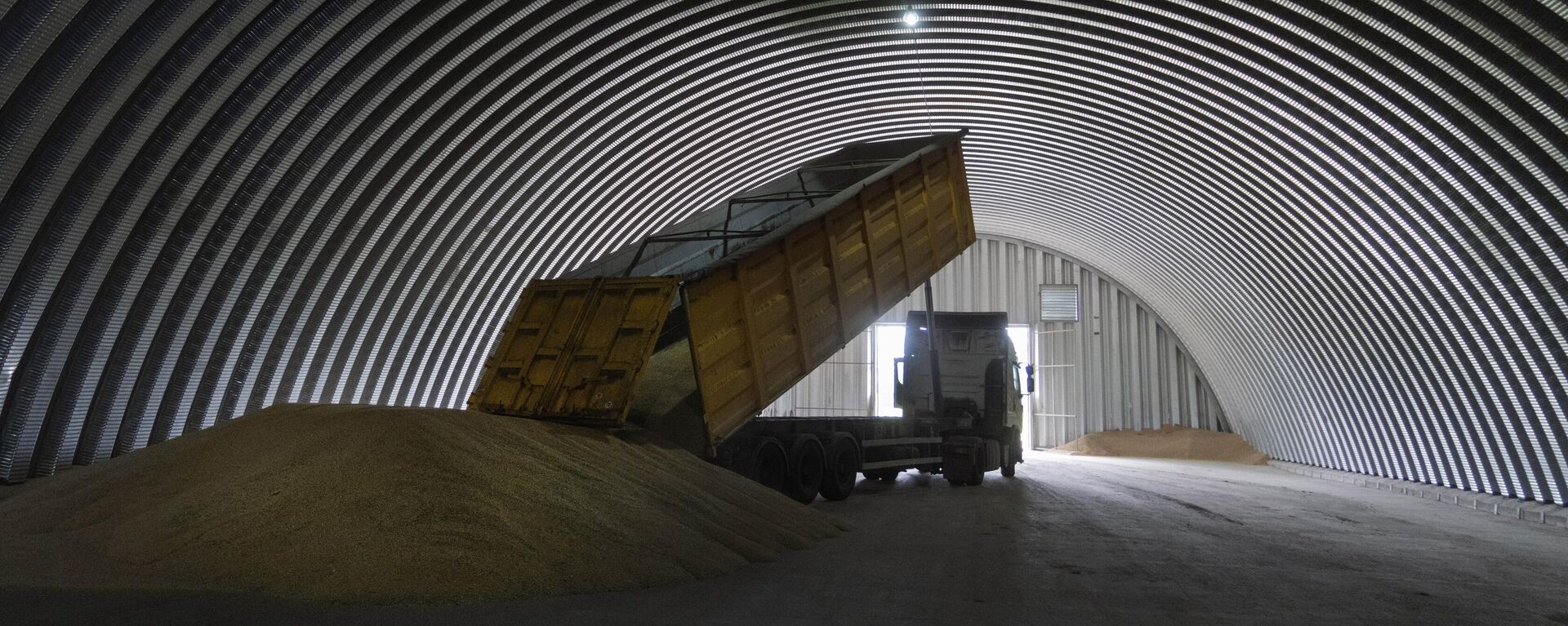 إنتاج الحبوب إنتاج الحبوب - سبوتنيك عربي, 1920, 09.11.2024