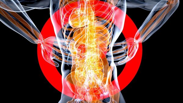 الكلى - سبوتنيك عربي