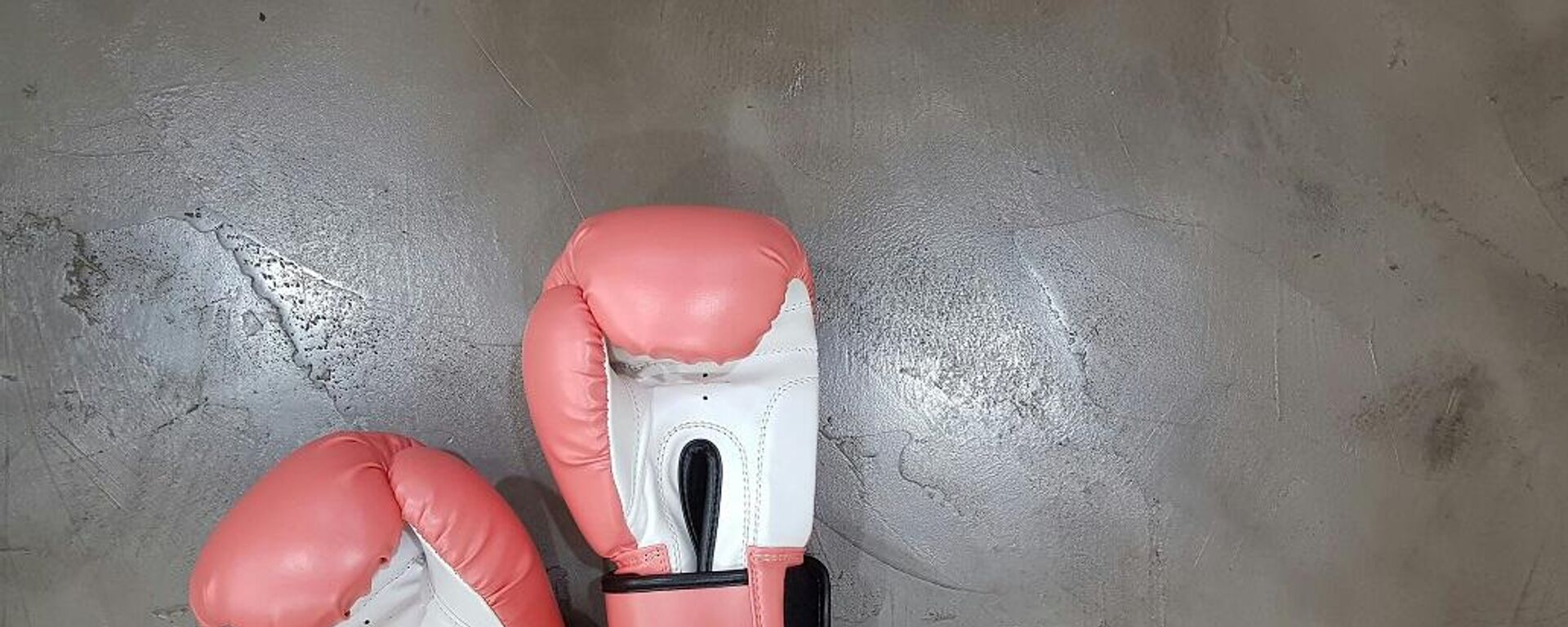 قفازات ملاكمة - سبوتنيك عربي, 1920, 11.11.2024