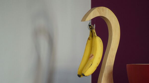  - سبوتنيك عربي