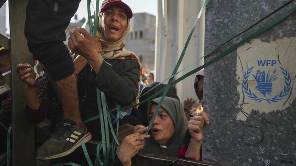 المجاعة في قطاع غزة - سبوتنيك عربي