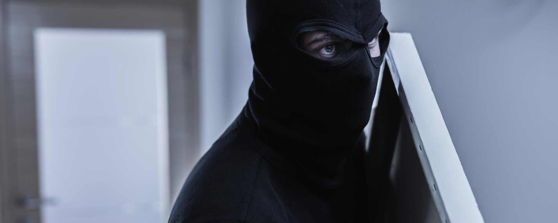 لقطة مقرّبة لسارق يرتدي قناعا يسرق لوحة فنية - سبوتنيك عربي, 1920, 22.11.2024