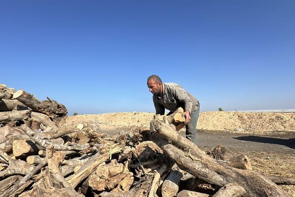 فايز العزازمة، نازح من شمال غزة - سبوتنيك عربي