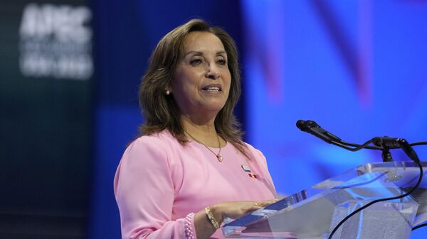 رئيسة البيرو، دينا بولوارتي - سبوتنيك عربي