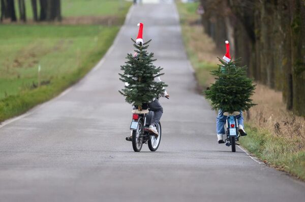 صورة لرجل وامرأة على دراجات نارية يحملون شجرة عيد الميلاد، بالقرب من إريسدورف، ألمانيا. - سبوتنيك عربي