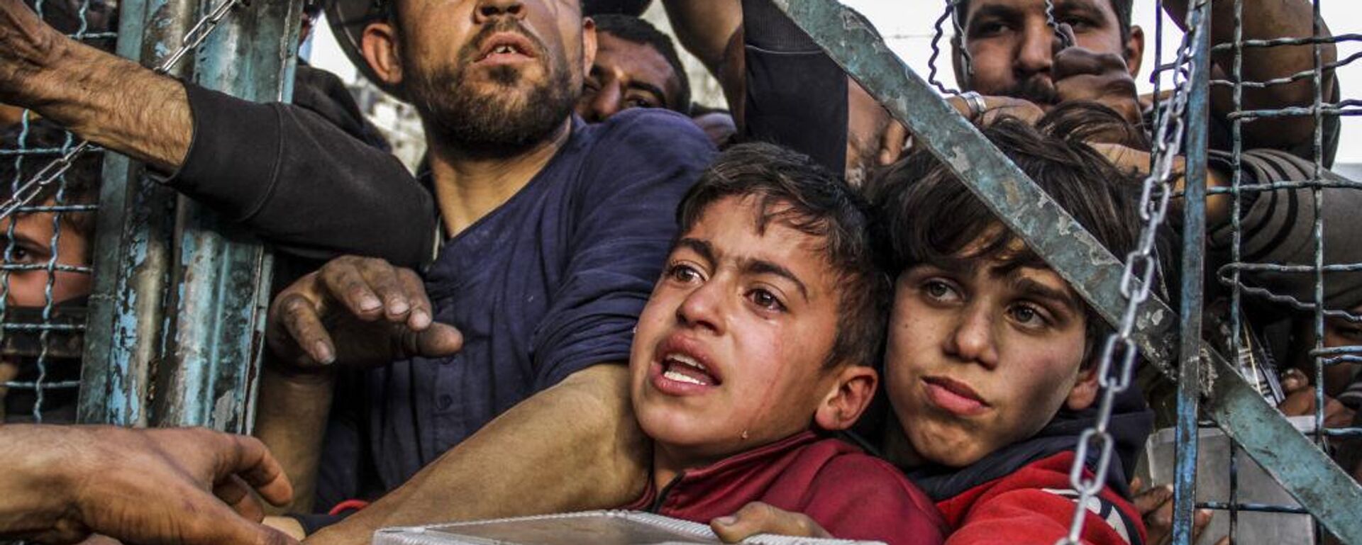 أزمة الجوع في غزة أزمة الجوع في غزة - سبوتنيك عربي, 1920, 16.12.2024