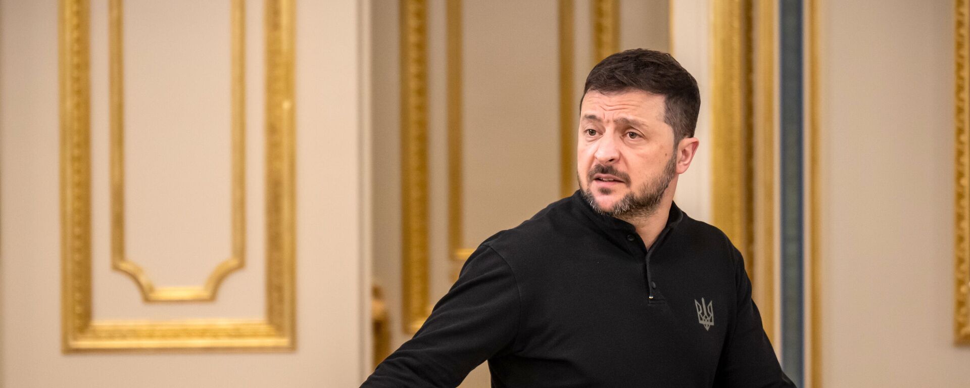 فلاديمير زيلينسكي فلاديمير زيلينسكي - سبوتنيك عربي, 1920, 17.12.2024