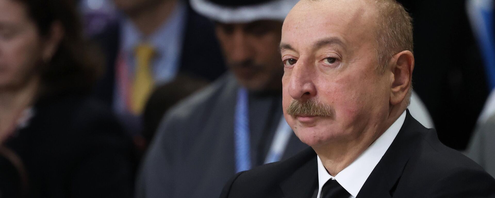 الرئيس الأذربيجاني إلهام علييف - سبوتنيك عربي, 1920, 07.08.2025