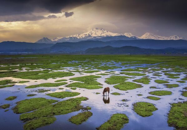 صورة ساحرة لحصان يشرب الماء، بالقرب من جبل &quot;إرجييس&quot; في تركيا - سبوتنيك عربي