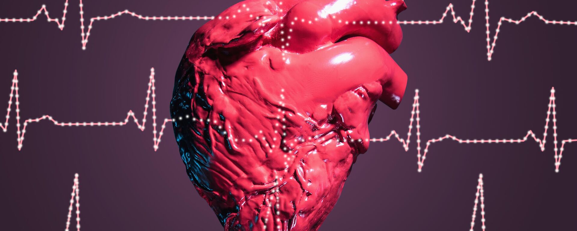 صورة لعضلة القلب - سبوتنيك عربي, 1920, 01.04.2026