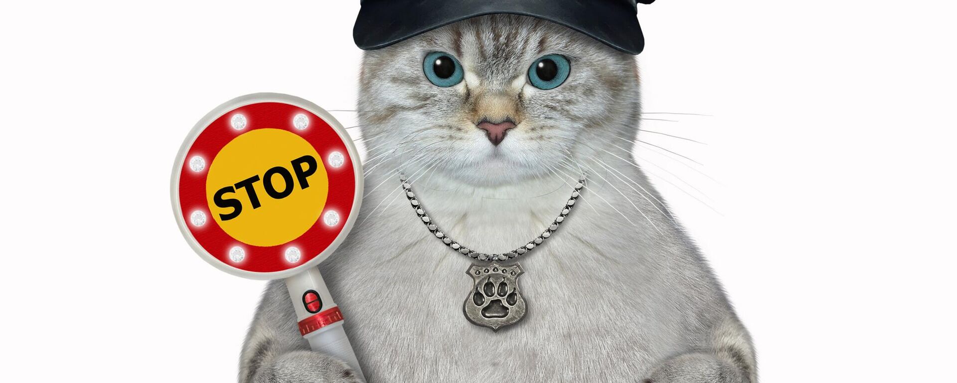 صورة لقط يعمل كرجل إطفاء - سبوتنيك عربي, 1920, 27.12.2024