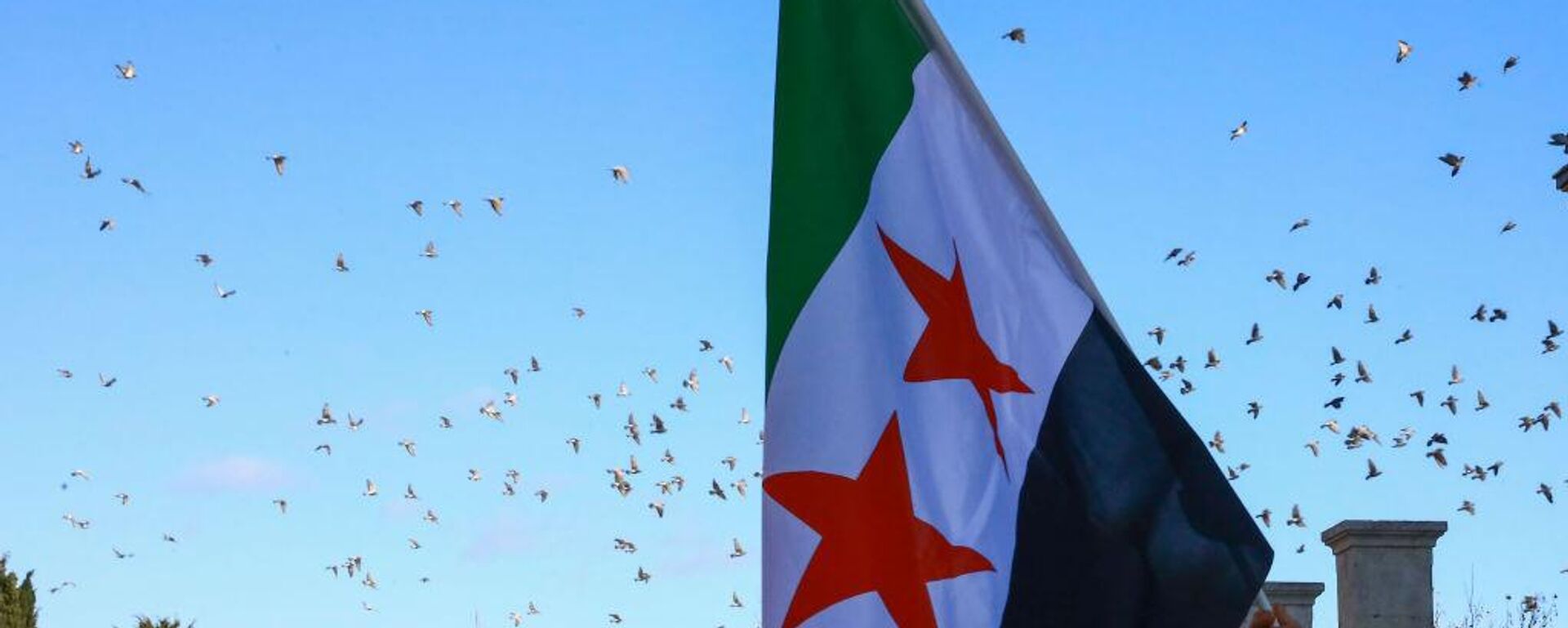 علم سوريا الجديد - سبوتنيك عربي, 1920, 07.02.2025