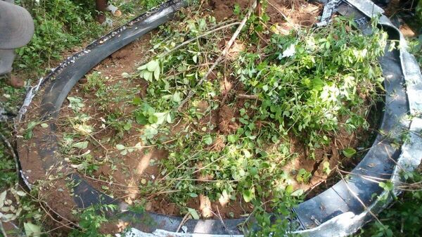 حطام فضائي - سبوتنيك عربي