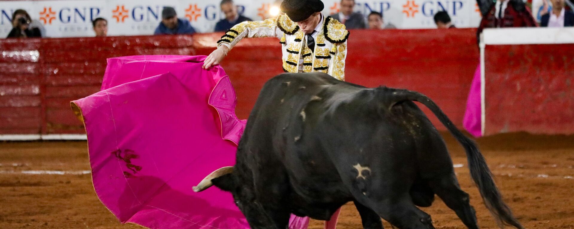 صورة لمصارع ثيران في الحلبة  - سبوتنيك عربي, 1920, 04.01.2025