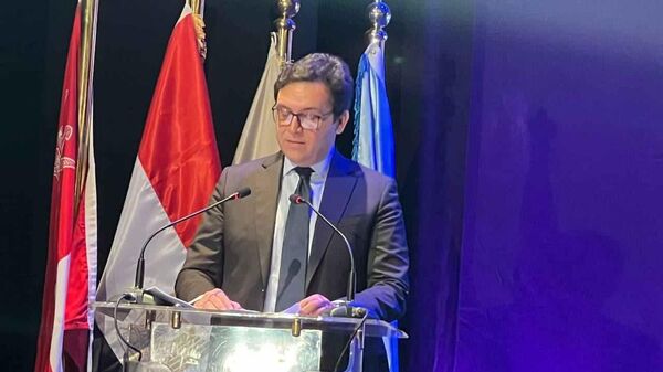 وزير الثقافة المصري الدكتور أحمد فؤاد هنو - سبوتنيك عربي