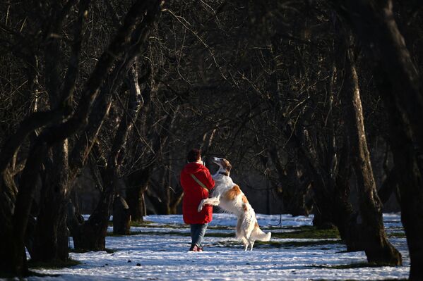 صورة لإمرأة تلعب مع كلبها في إحدى حدائق موسكو، روسيا. - سبوتنيك عربي