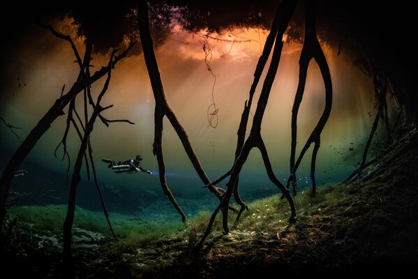 الصورة الحائزة على المركز الأول، للمصور هوانهي كيم بعنوان "الضوء"، تظهر ألوان مذهلة بسبب اختلاف التركيز، واختراق ضوء الشمس للمياه. الصورة الحائزة على المركز الأول، للمصور هوانهي كيم بعنوان "الضوء"، تظهر ألوان مذهلة بسبب اختلاف التركيز، واختراق ضوء الشمس للمياه. - سبوتنيك عربي