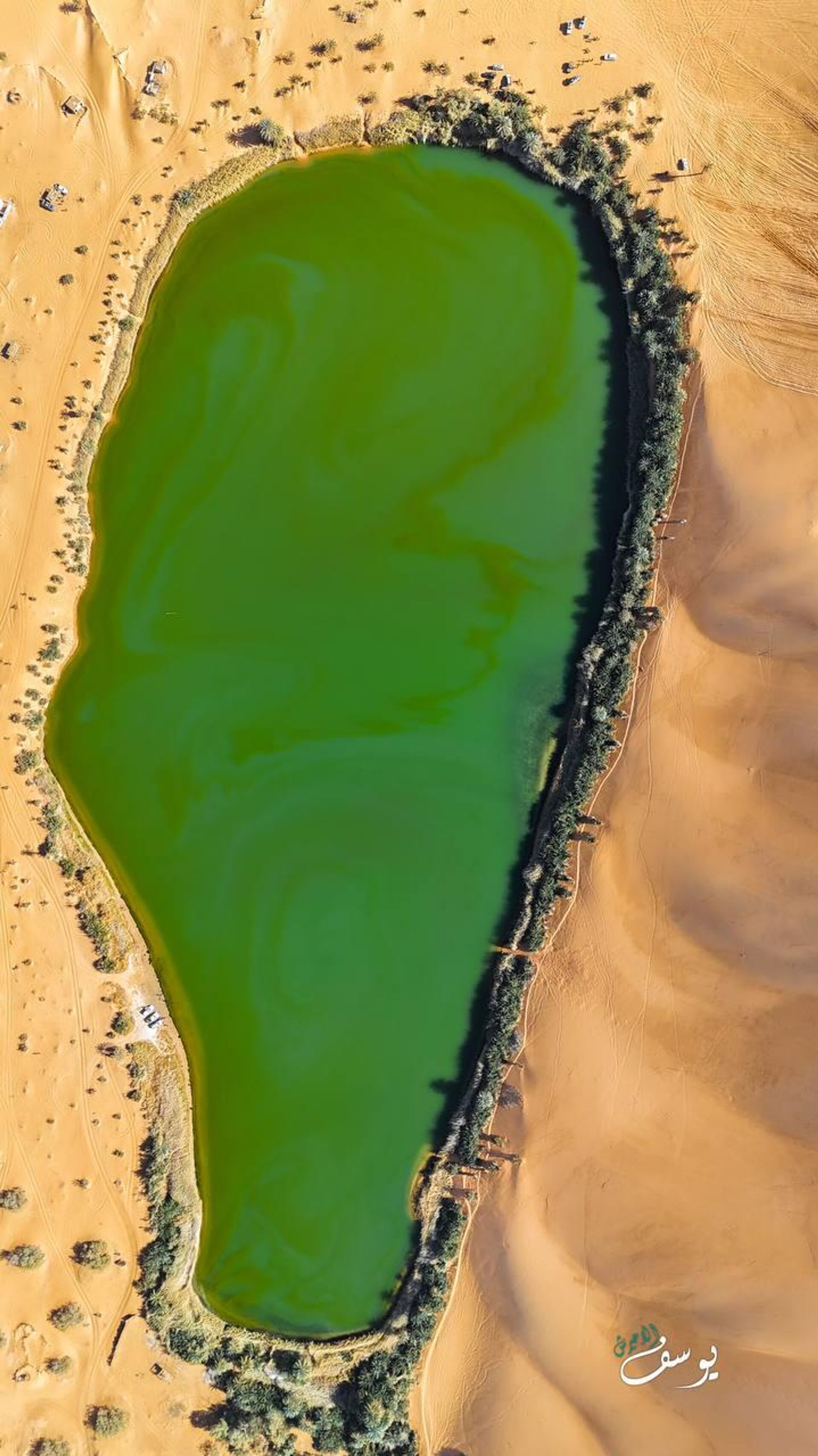 واحة قبرعون جنوب ليبيا - سبوتنيك عربي, 1920, 18.01.2025