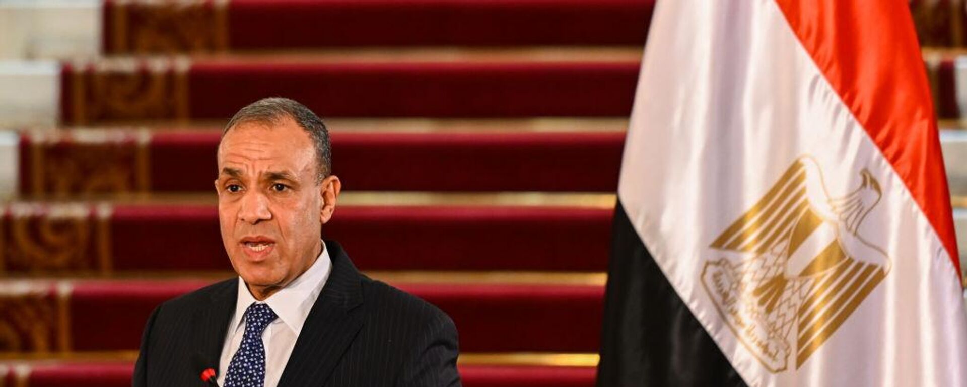 وزير الخارجية المصري بدر عبد العاطي - سبوتنيك عربي, 1920, 02.06.2025