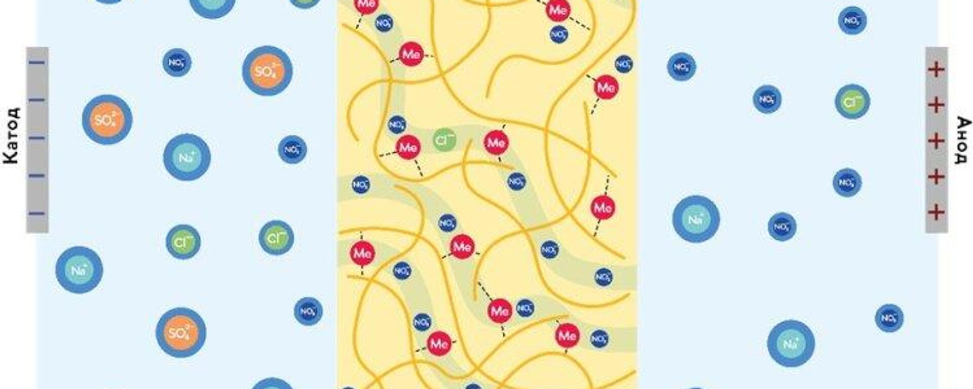 
مخطط فصل الأيونات بواسطة غشاء بوليمر معدني أثناء التحليل الكهربائي. مؤلف الرسم التوضيحي - سبوتنيك عربي, 1920, 21.01.2025