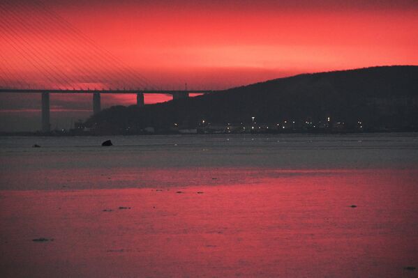 مشهد جميل لشروق الشمس في مدينة فلاديفوستوك. مشهد جميل لشروق الشمس في مدينة فلاديفوستوك. - سبوتنيك عربي