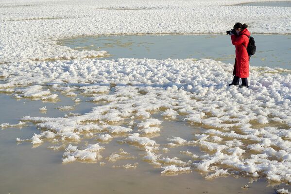 تشكل &quot;زهور الجليد&quot;، وهي عبارة عن بلورات تتحول من كبريتات الصوديوم في الطقس البارد، تتشكل على سطح بحيرة الملح في 16 يناير 2025 في يونتشنغ بمقاطعة شانشي في الصين. - سبوتنيك عربي