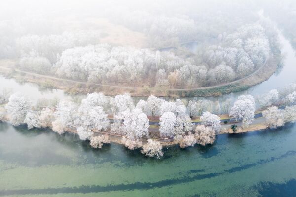 يغطي الصقيع الأشجار على ضفاف بحيرة ماسشيسي ونهر لين.  - سبوتنيك عربي