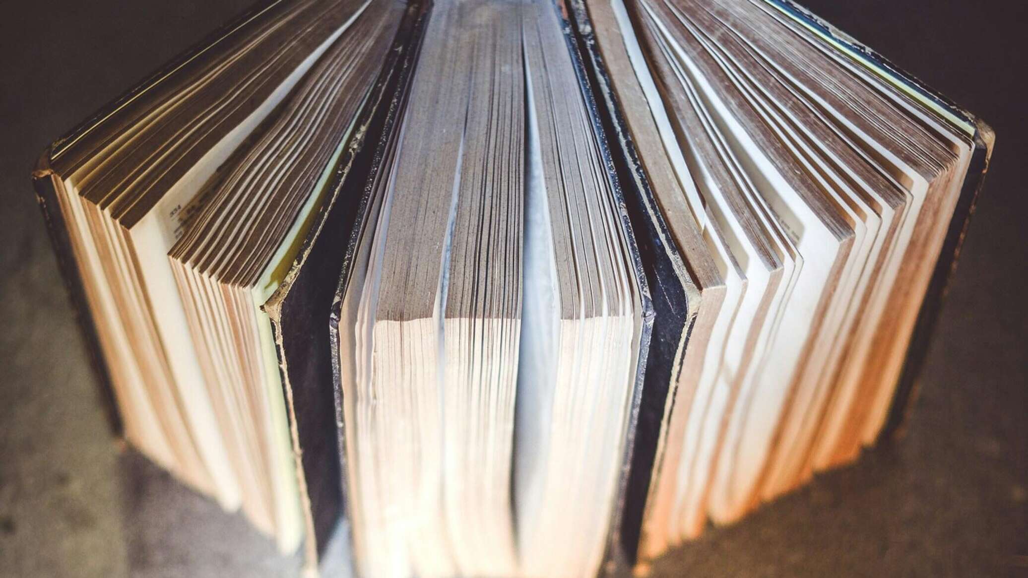 روائية مصرية: الروس من رواد تجديد النقد الأدبي الحديث وجائزة "بريكس" لها أدوار عديدة