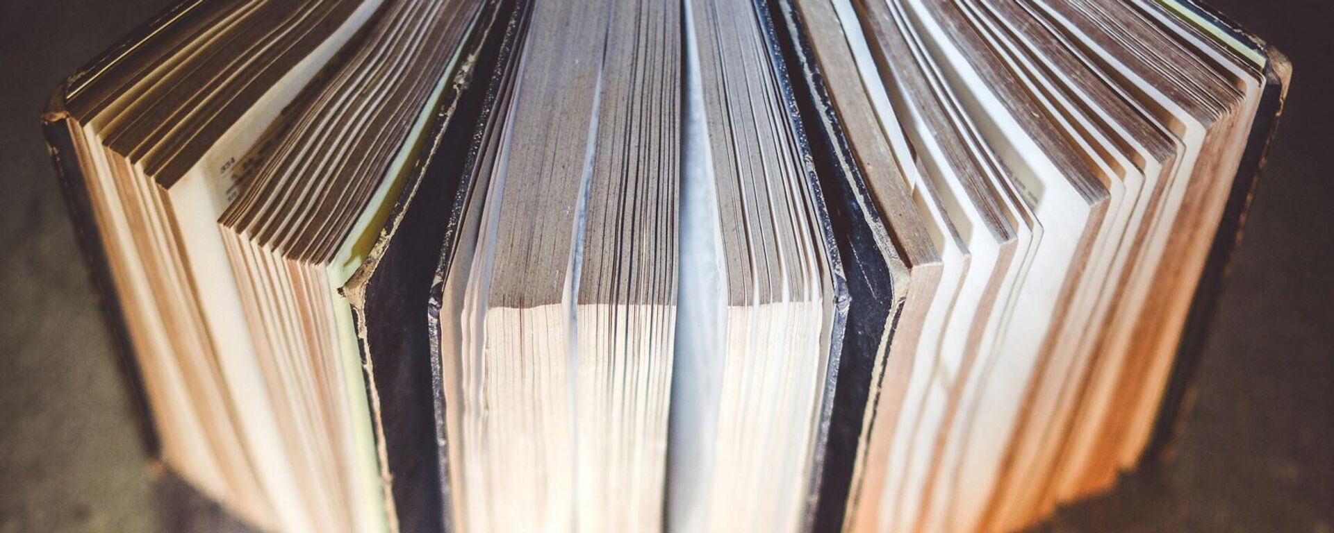 كتب - سبوتنيك عربي, 1920, 08.11.2025