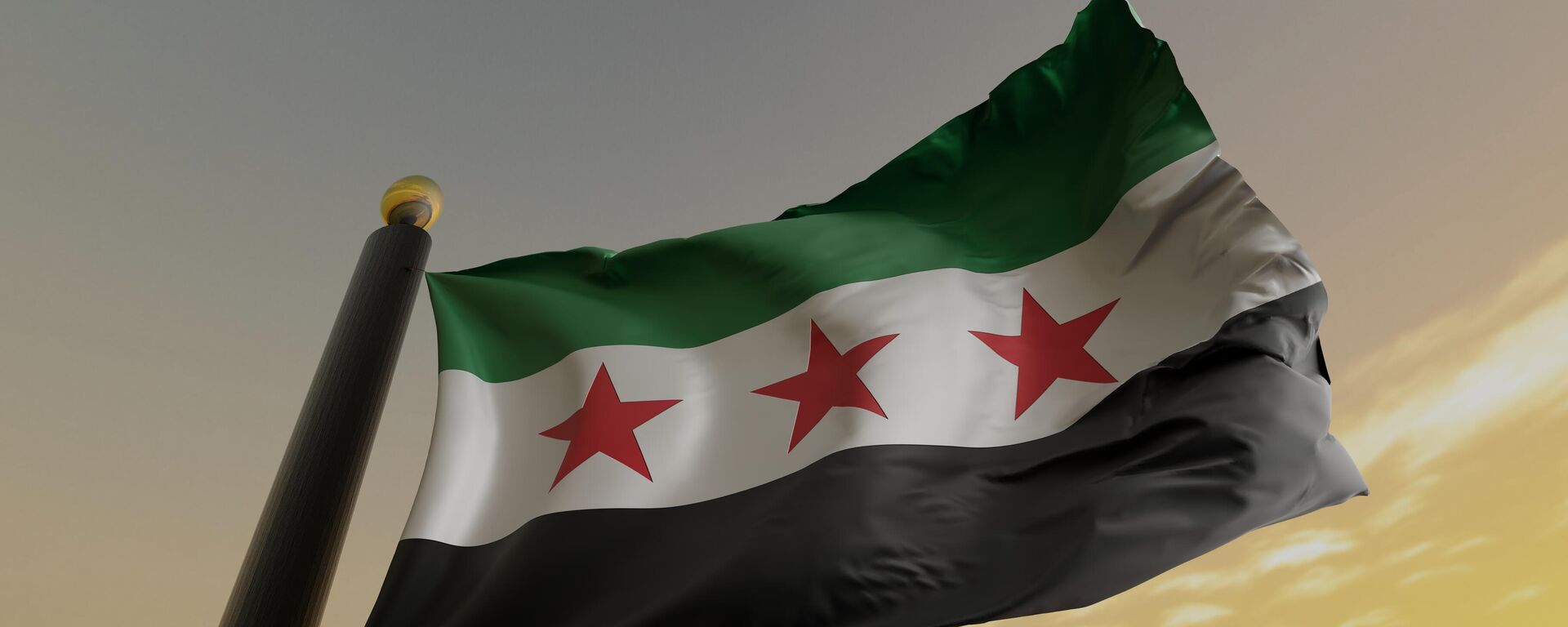 العلم الجديد لسوريا - سبوتنيك عربي, 1920, 22.01.2025