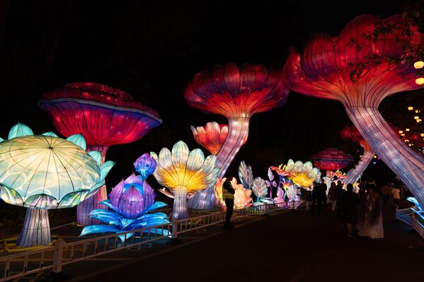 زوار يشاهدون عروض الفوانيس الملونة خلال مهرجان فوانيس منطقة الخليج الكبرى لعام 2025 في منطقة نانشا في مدينة قوانغتشو بمقاطعة قوانغدونغ الصينية. - سبوتنيك عربي