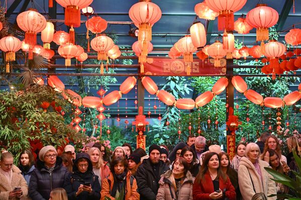 مهرجان السنة الصينية الجديدة في الحديقة النباتية التابعة لجامعة موسكو الحكومية "أبتيكارسكي أوغورود" في العاصمة الروسية موسكو - سبوتنيك عربي