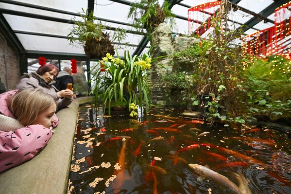 مهرجان السنة الصينية الجديدة في الحديقة النباتية التابعة لجامعة موسكو الحكومية "أبتيكارسكي أوغورود" في العاصمة الروسية موسكو - سبوتنيك عربي