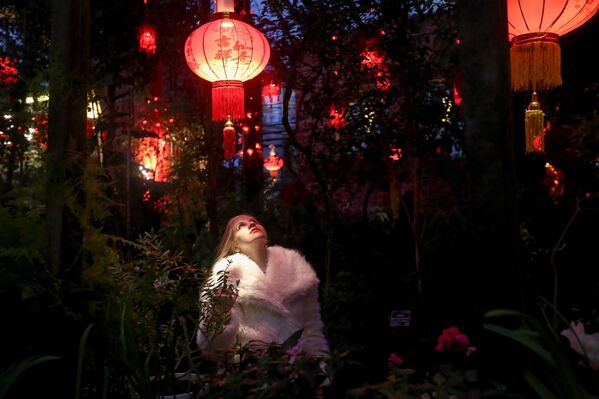 مهرجان السنة الصينية الجديدة في الحديقة النباتية التابعة لجامعة موسكو الحكومية "أبتيكارسكي أوغورود" في العاصمة الروسية موسكو - سبوتنيك عربي