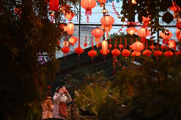 مهرجان السنة الصينية الجديدة في الحديقة النباتية التابعة لجامعة موسكو الحكومية "أبتيكارسكي أوغورود" في العاصمة الروسية موسكو - سبوتنيك عربي