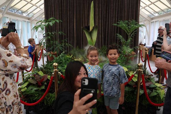 أشخاص ينظرون ويلتقطون الصور بينما تبدأ زهرة الجثة في التفتح في سيدني، أستراليا. - سبوتنيك عربي