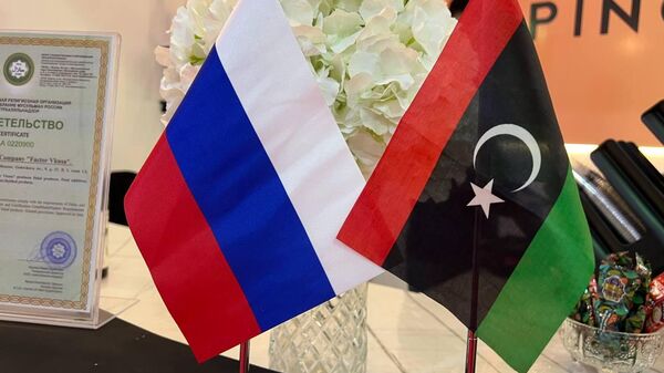  - سبوتنيك عربي