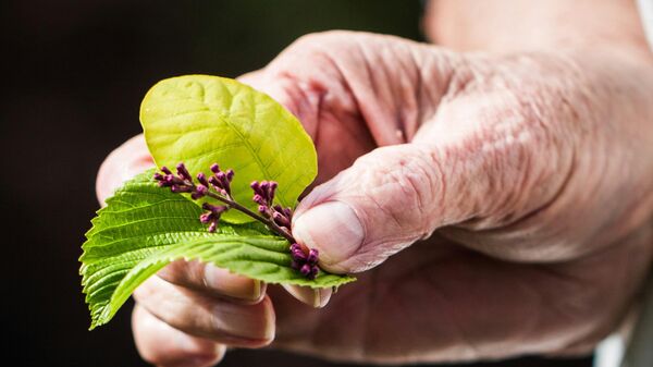 الشيخوخة - سبوتنيك عربي