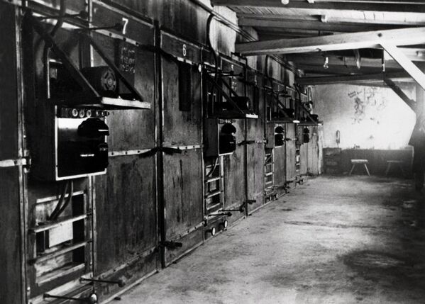 محرقة الجثث الثالثة في معسكر &quot;أوشفيتس&quot;، بولندا، يناير/كانون الثاني 1945. - سبوتنيك عربي