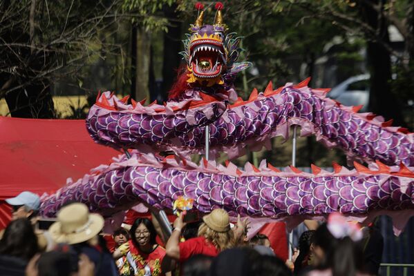 فرقة تؤدي رقصة التنين في المركز الوطني للفنون في مدينة مكسيكو في المكسيك، للاحتفال بالعام الصيني الجديد لثعبان الخشب 2025. - سبوتنيك عربي