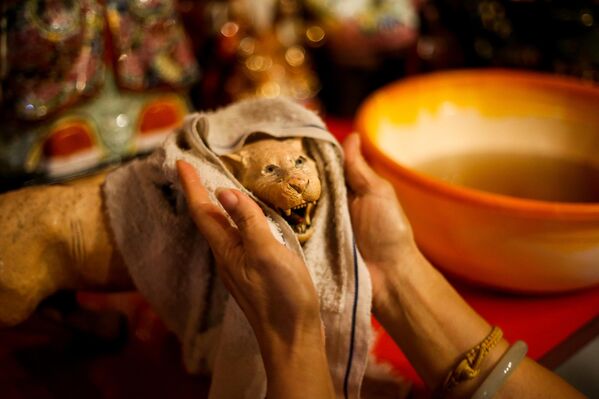 أحد المصلين يقوم بتنظيف تمثال أحد الآلهة في معبد "دارما رامسي" في باندونغ في إندونيسيا، للترحيب بالعام الصيني الجديد. - سبوتنيك عربي