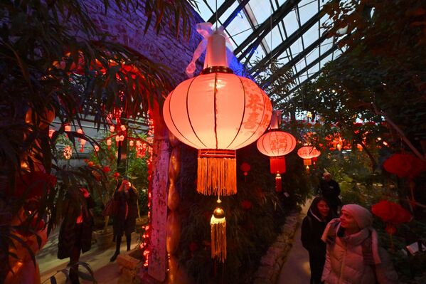 صورة لفعاليات مهرجان السنة الصينية الجديدة، في الحديقة النباتية لجامعة موسكو الحكومية "أبتيكارسكي أوغورود"، روسيا. - سبوتنيك عربي