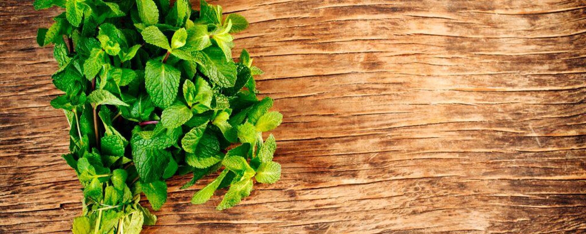 النعناع - سبوتنيك عربي, 1920, 30.01.2025