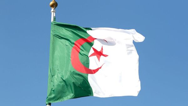 علم الجزائر - سبوتنيك عربي