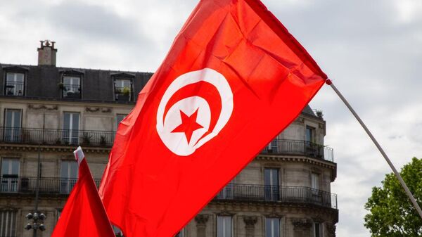 علم تونس - سبوتنيك عربي