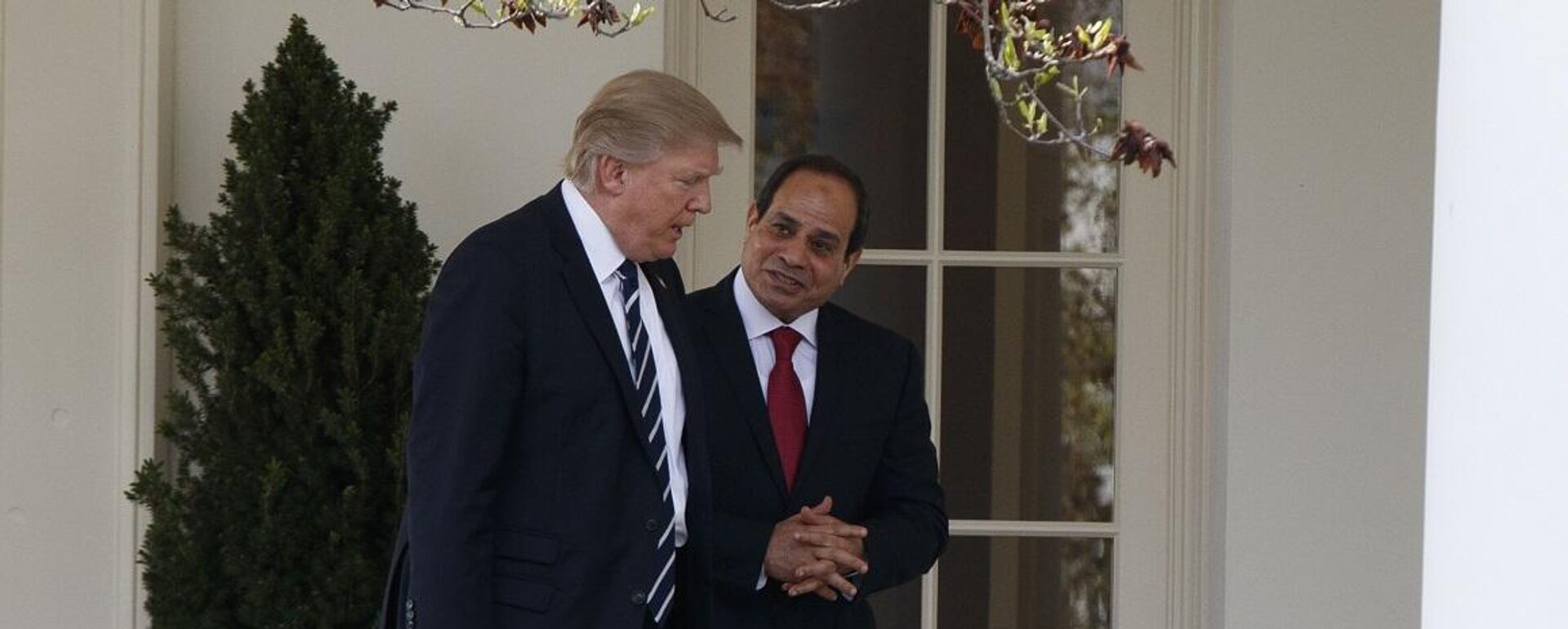 الرئيس المصري، عبد الفتاح السيسي، في محادثات مع نظيره الأمريكي، دونالد ترامب، في البيت الأبيض، واشنطن، 3 نيسان/ أبريل 2017 - سبوتنيك عربي, 1920, 01.04.2025