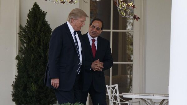 الرئيس المصري، عبد الفتاح السيسي، في محادثات مع نظيره الأمريكي، دونالد ترامب، في البيت الأبيض، واشنطن، 3 نيسان/ أبريل 2017 - سبوتنيك عربي